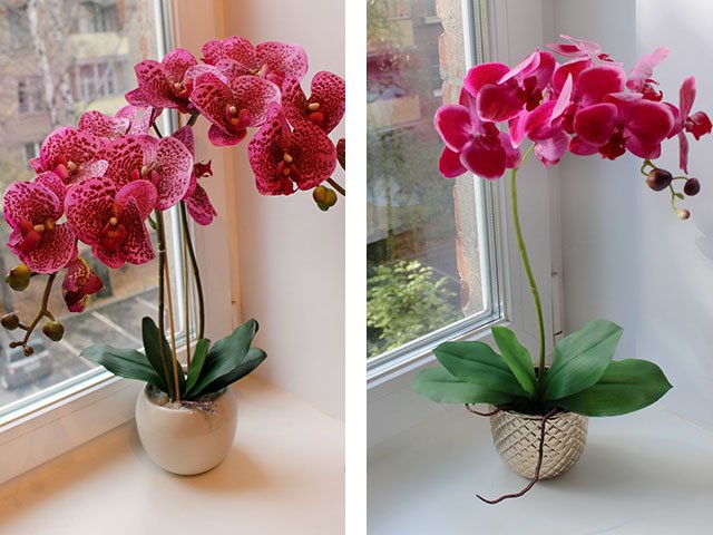 Quoi donner à une fille pour son anniversaire