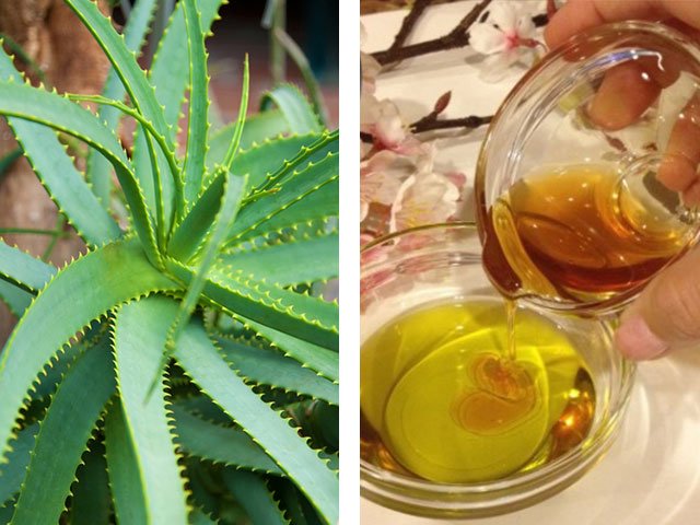 Masques avec aloès pour le visage à la maison