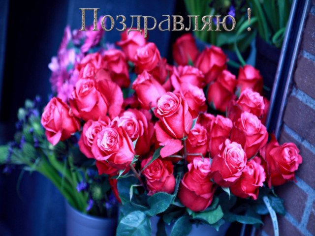 Joyeux anniversaire cartes de vœux