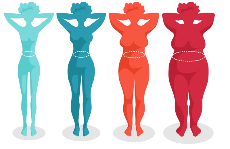 Indice de masse corporelle Indice de masse corporelle