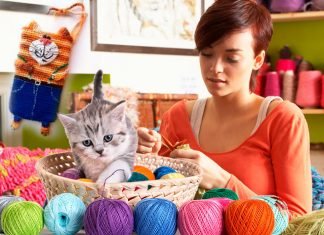 Photos et vidéos comment crocheter un étui de téléphone