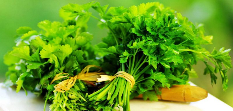 Persil santé Persil santé