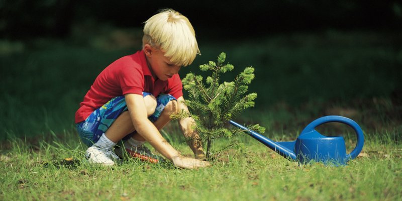 Education ouvrière des enfants d'âge préscolaire Education ouvrière des enfants d'âge préscolaire