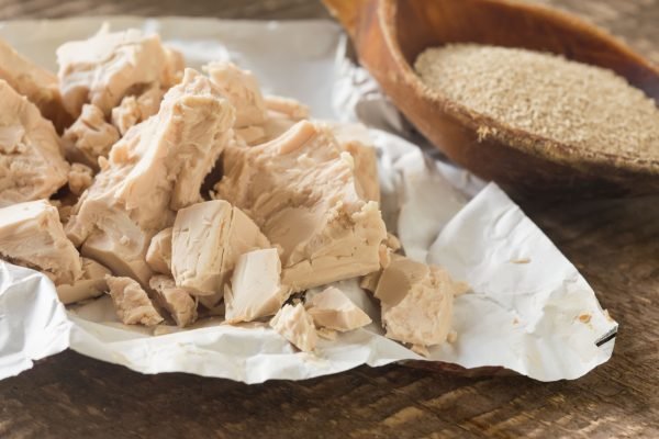 Levure vivante Levure vivante