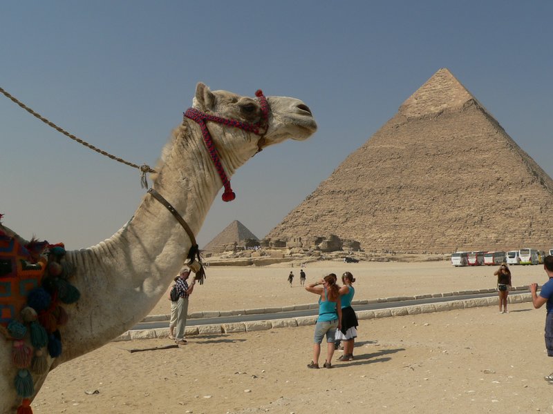 Paysage dans un reve de chameau Paysage dans un reve de chameau