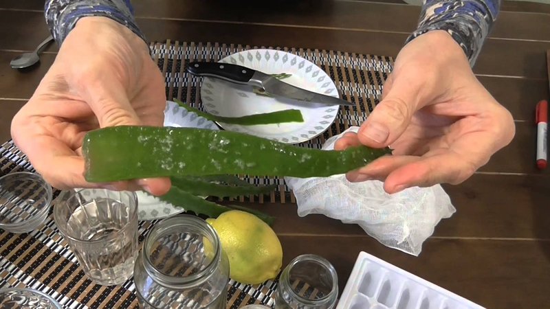 Recettes de masque de cheveux d'aloès Recettes de masque de cheveux d'aloès