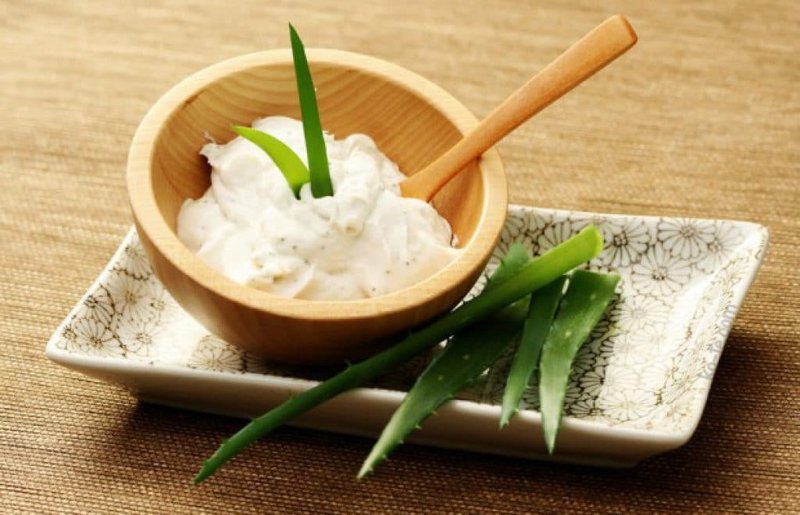 Préparer l'aloès pour utilisation Préparer l'aloès pour utilisation