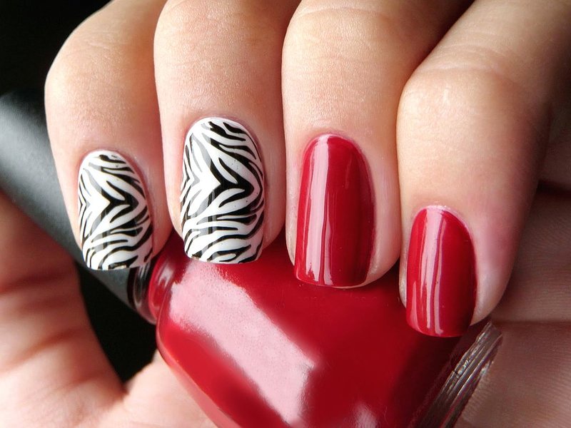 Style des animaux Style des animaux